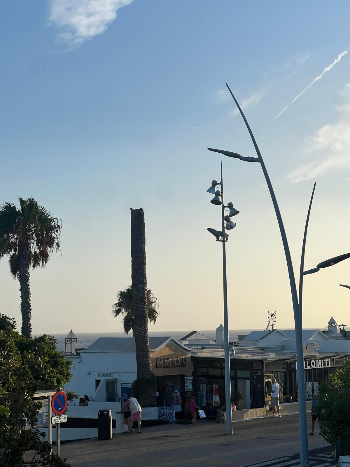 Street view with palm trees